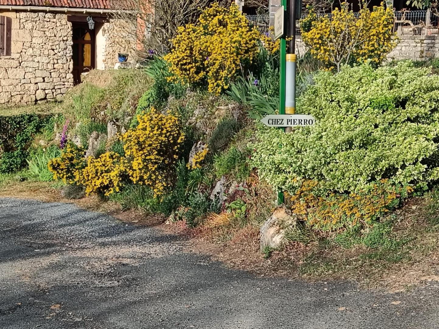 Gite Chez Pierrot - La Vallee Des Chateaux La Roque-Gageac Eksteriør billede